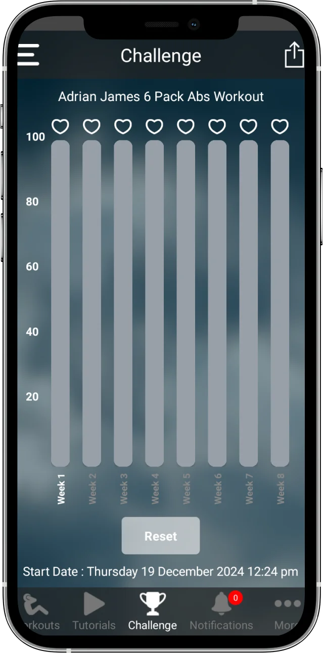 screen