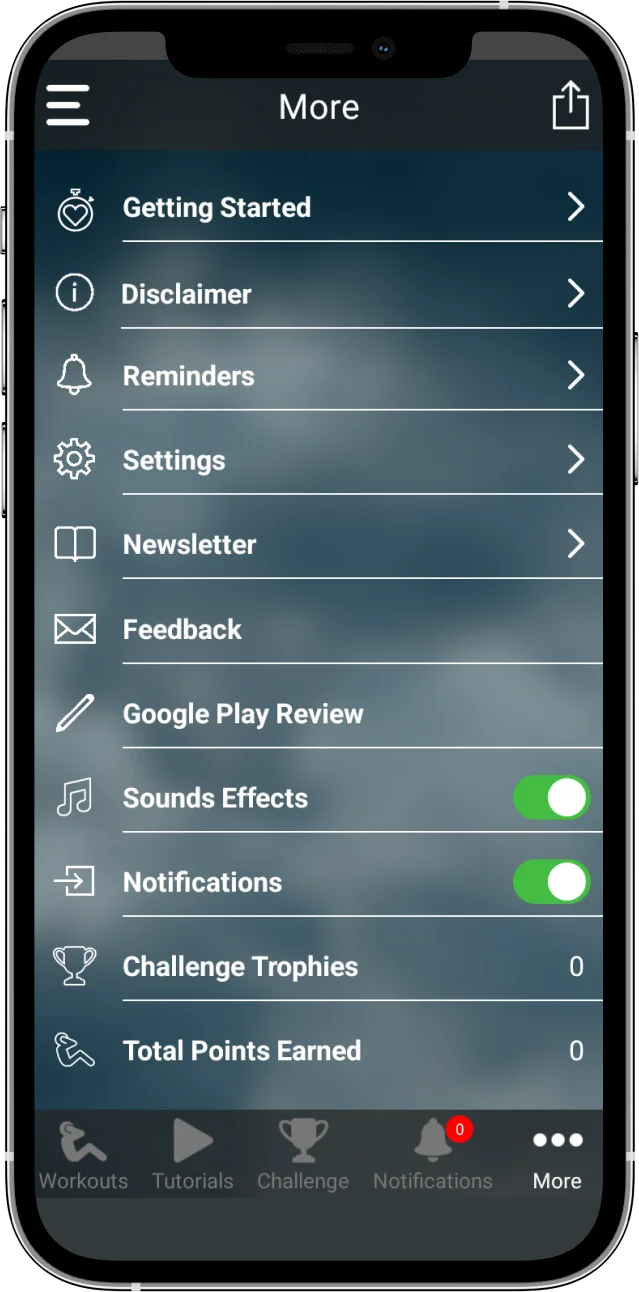 screen